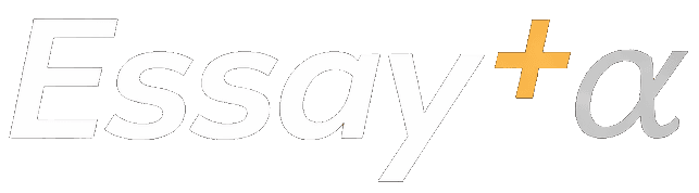 Essay+
